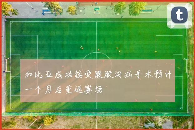 加比亚成功接受腹股沟疝手术预计一个月后重返赛场