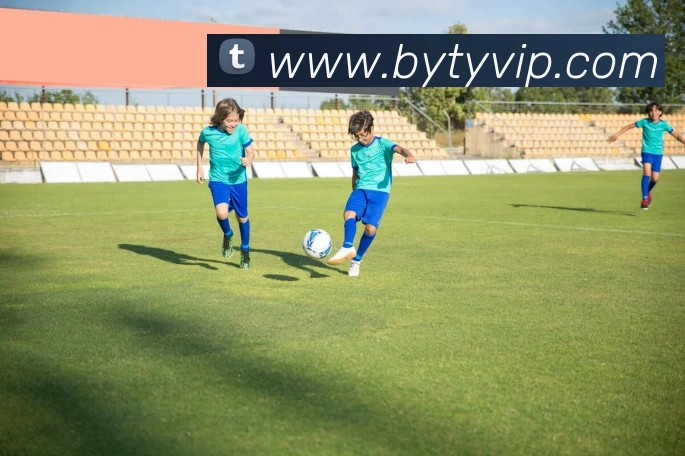 博业体育APP 封面图